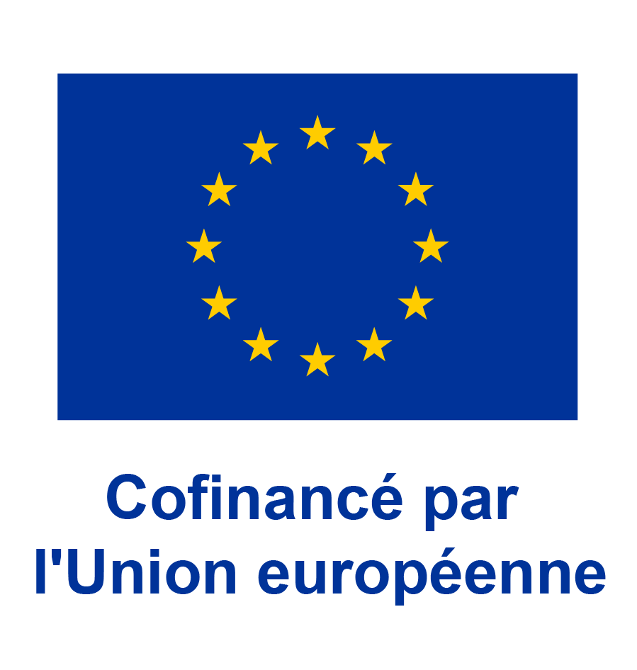 Embleme vertical couleur